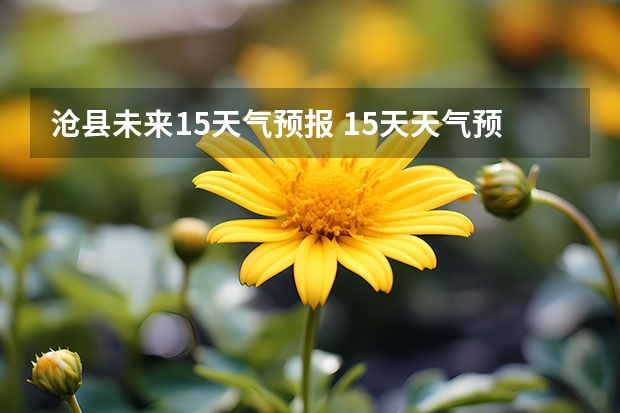 沧县未来15天气预报 15天天气预报准确率多高