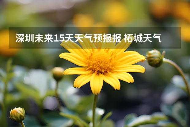 深圳未来15天天气预报报 柘城天气预报未来40天的天气预报