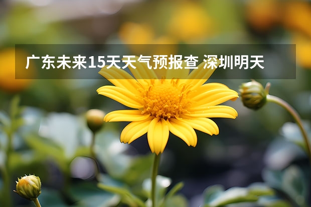 广东未来15天天气预报查 深圳明天天气深圳明天天气风向
