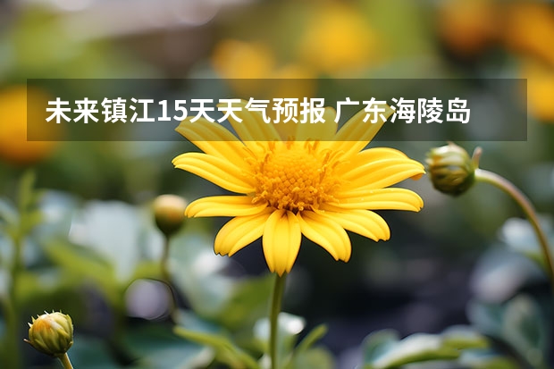 未来镇江15天天气预报 广东海陵岛天气预报15天