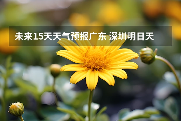 未来15天天气预报广东 深圳明日天气